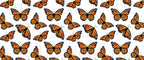 Monarchs UV Sticker wrap