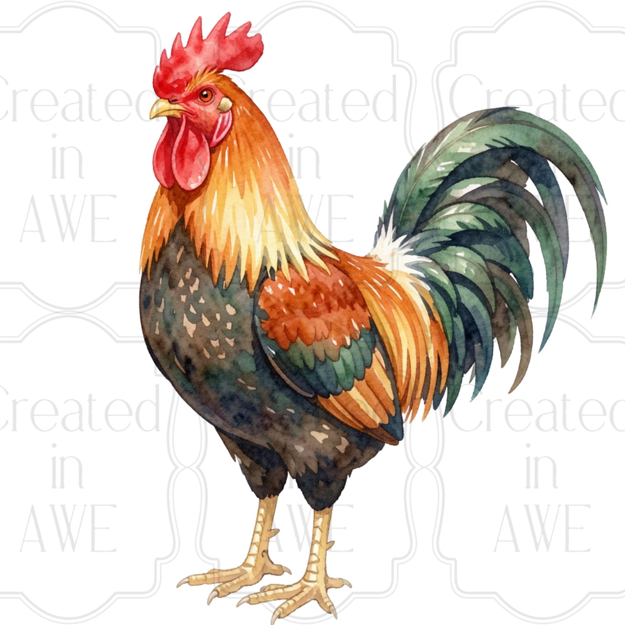 Farm Variety and singles