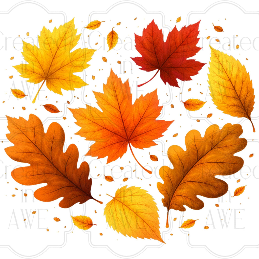 Fall Leaves