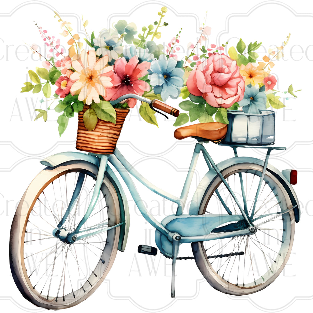 Spring Designs Variety and Singles