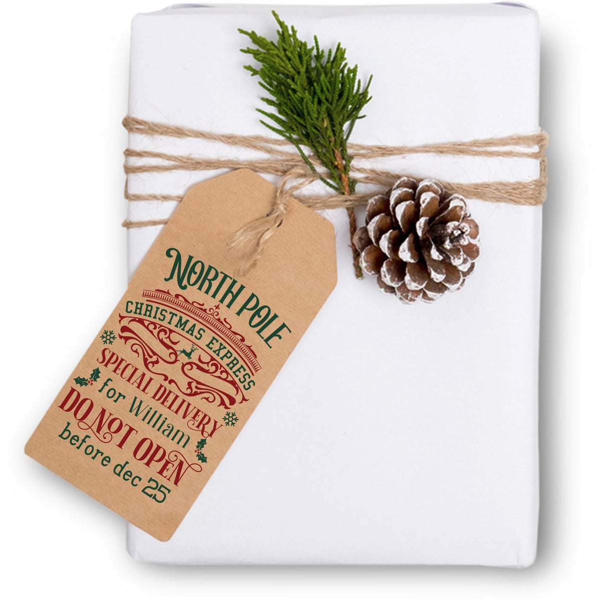 North Pole Special Delivery Label