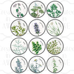 Herb Labels