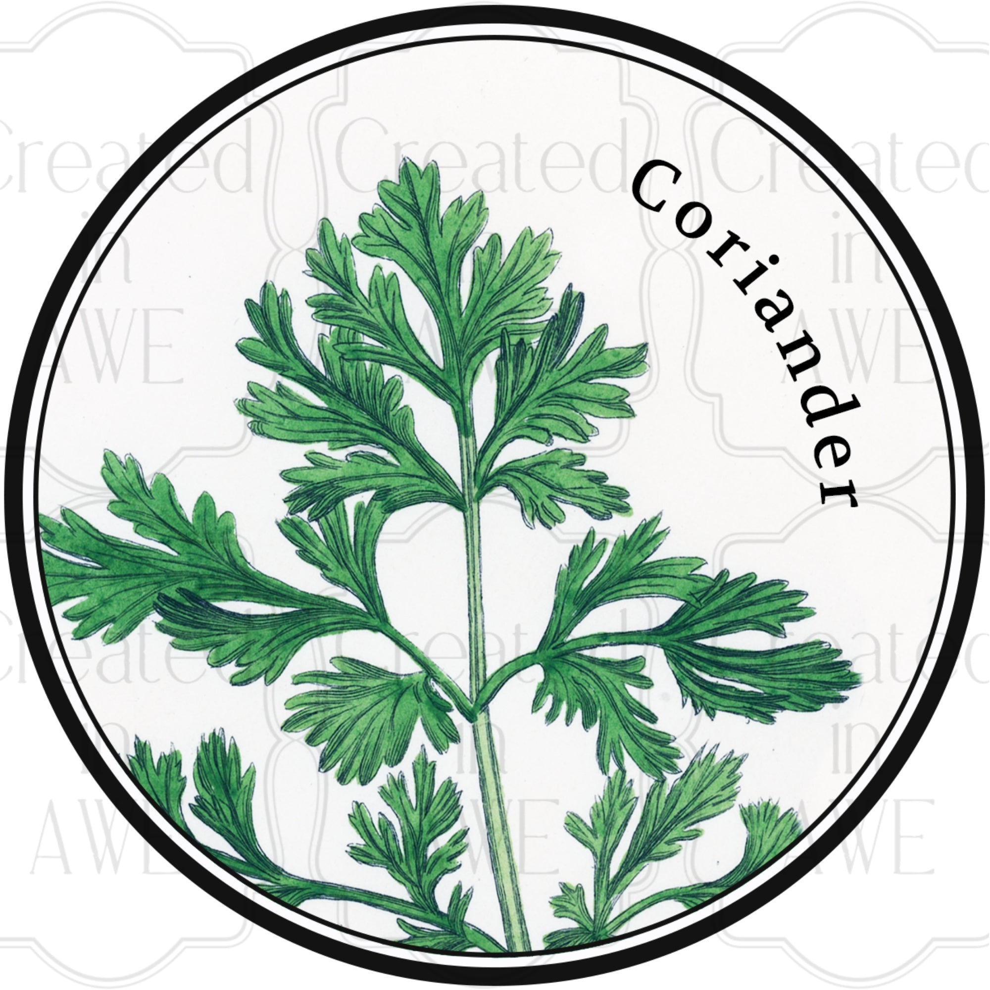 Herb Labels