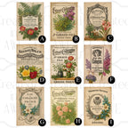 French Perfume Labels