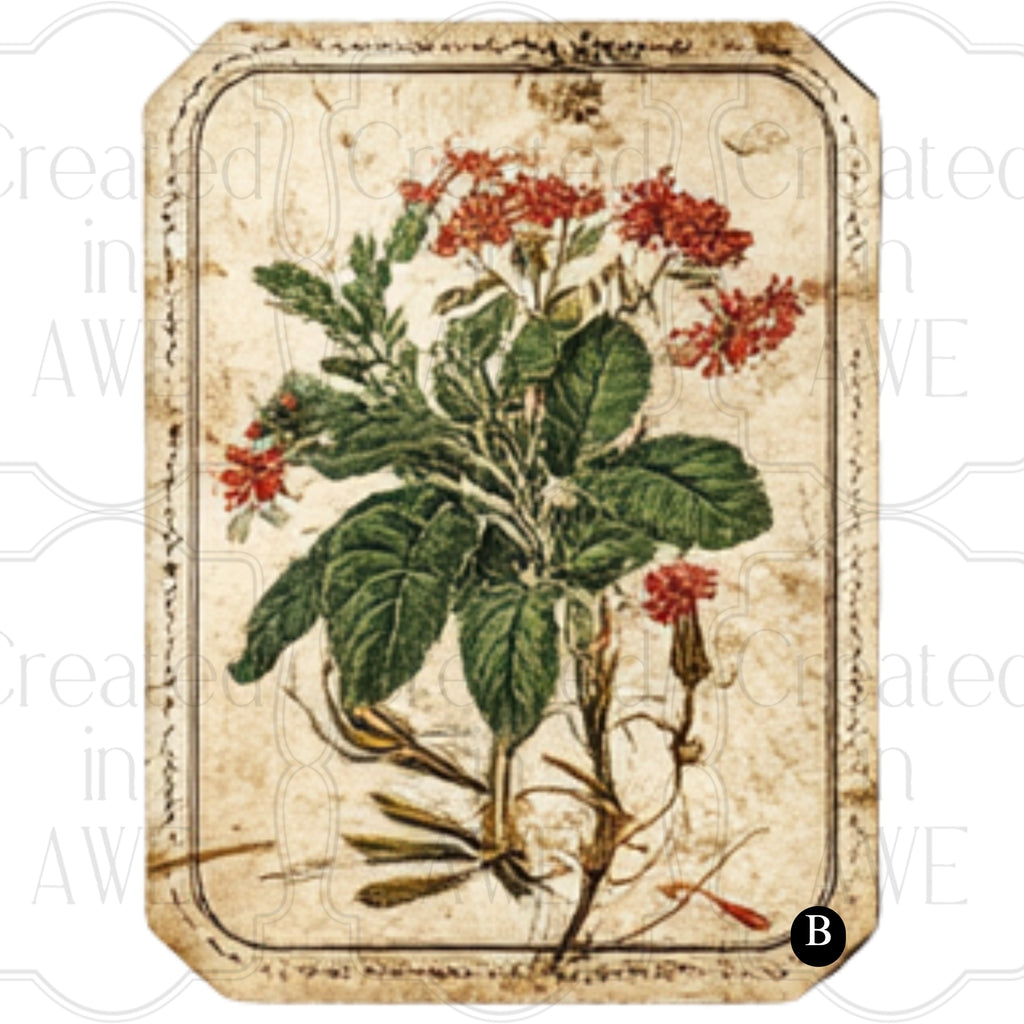 Vintage Vegetable Labels