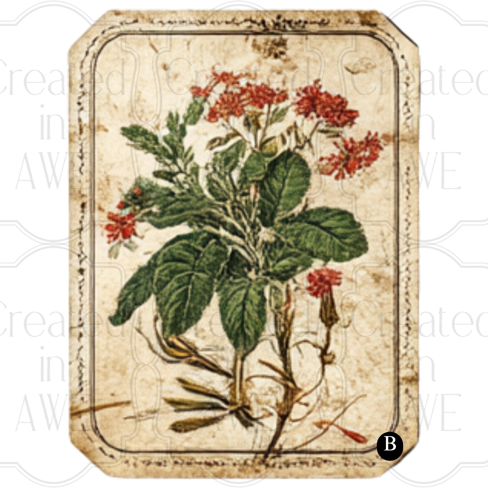 Vintage Vegetable Labels