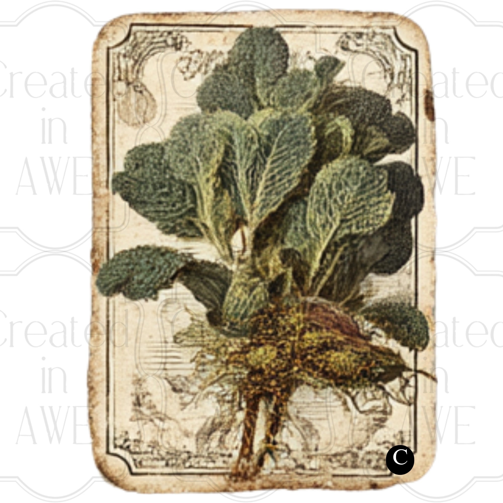 Vintage Vegetable Labels