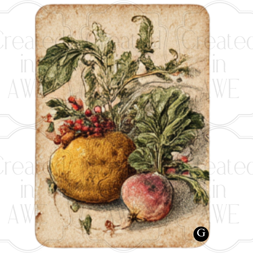 Vintage Vegetable Labels