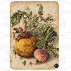 Vintage Vegetable Labels