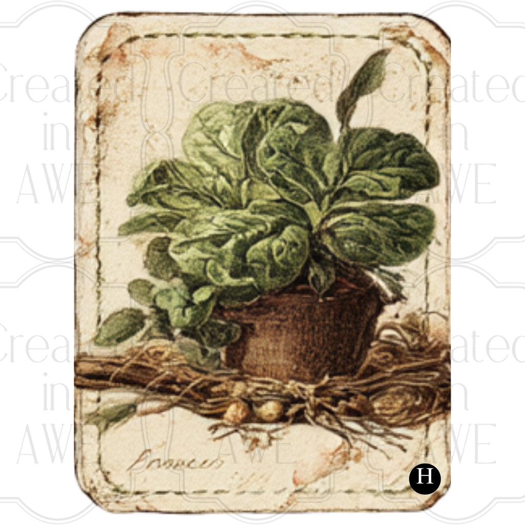 Vintage Vegetable Labels