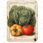 Vintage Vegetable Labels