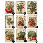 Vintage Vegetable Labels