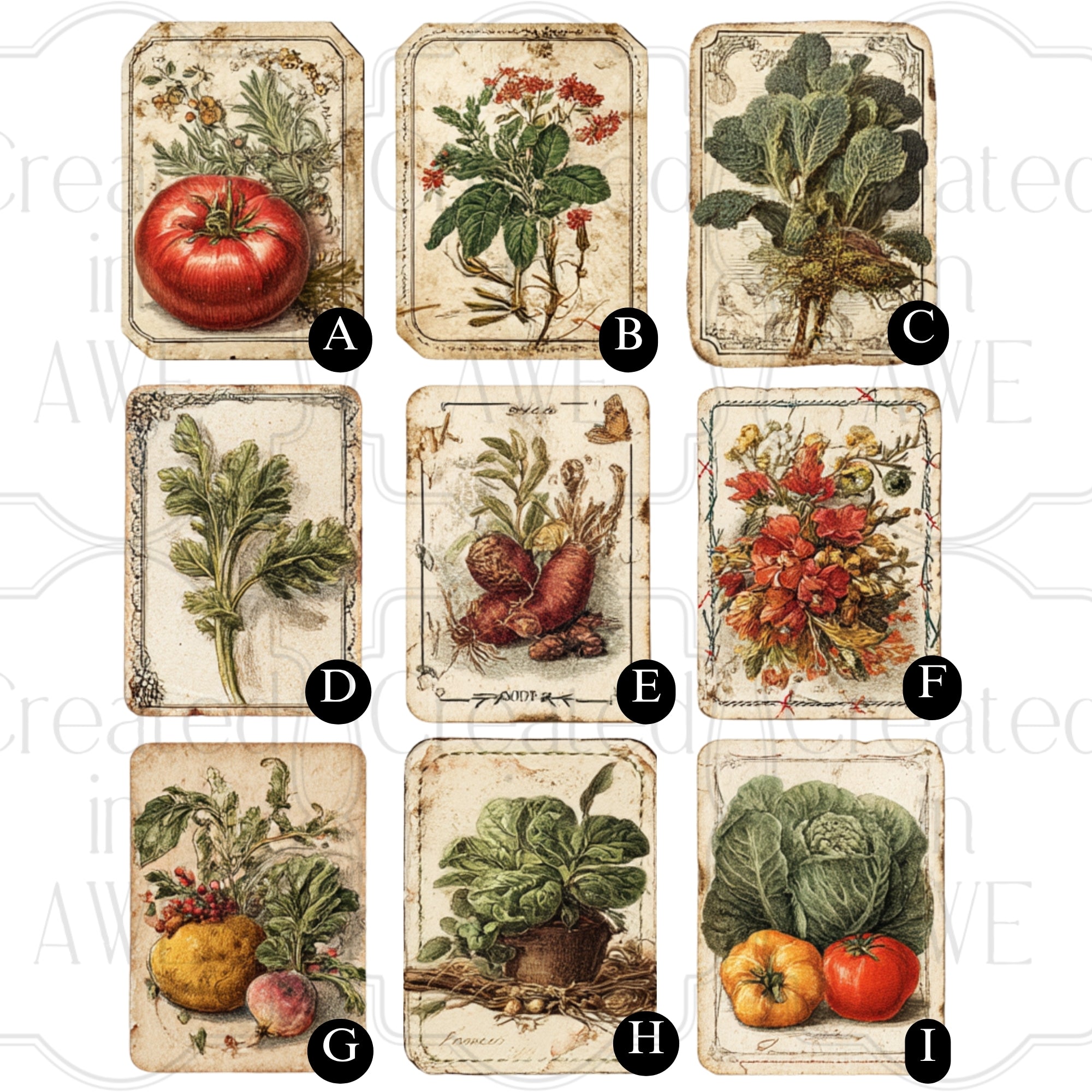 Vintage Vegetable Labels