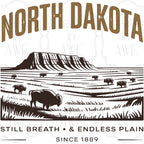 Vintage-Style US States